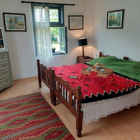 Apartmani Petkovic 226 Velika Drenova Exteriör bild